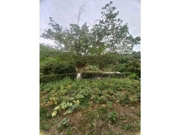 Casa campestre a la venta, Morelia via Alcala, Risaralda