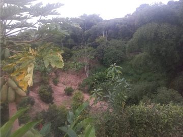 Casa campestre a la venta, Morelia via Alcala, Risaralda