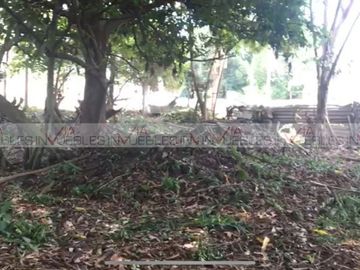 Predio de Tapachula