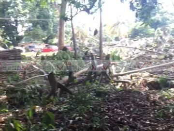 Predio de Tapachula