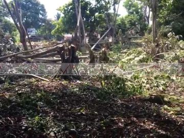 Predio de Tapachula