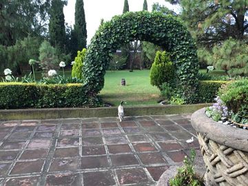 Casa en Venta en Metepec Centro, México
