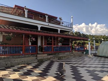VENTA de FINCAS en FREDONIA