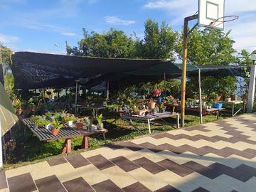 VENTA de FINCAS en FREDONIA