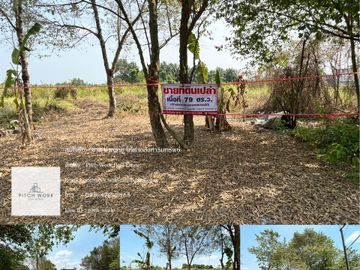Land for sale in Bueng Bon, Pathum Thani