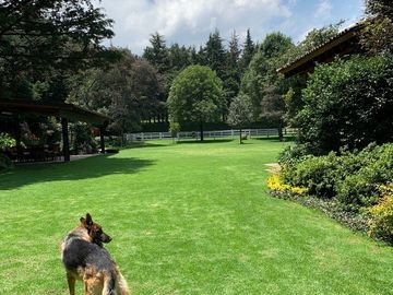 ESPECTACULAR  RESIDENCIA EN EXCLUSIVO FRACCIONAMIENTO