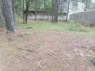 BONITO LOTE EN VENTA IDEAL PARA TU CASA DE CAMPO , UBICADO EN CAMPO ALEGRE, MUNICIPIO DE SAN JOAQUÍN, QUERÉTARO