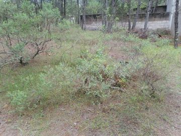 BONITO LOTE EN VENTA IDEAL PARA TU CASA DE CAMPO , UBICADO EN CAMPO ALEGRE, MUNICIPIO DE SAN JOAQUÍN, QUERÉTARO