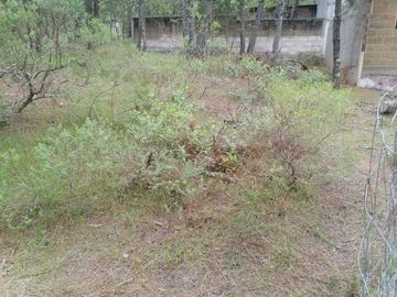 BONITO LOTE EN VENTA IDEAL PARA TU CASA DE CAMPO , UBICADO EN CAMPO ALEGRE, MUNICIPIO DE SAN JOAQUÍN, QUERÉTARO