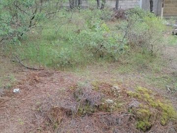 BONITO LOTE EN VENTA IDEAL PARA TU CASA DE CAMPO , UBICADO EN CAMPO ALEGRE, MUNICIPIO DE SAN JOAQUÍN, QUERÉTARO