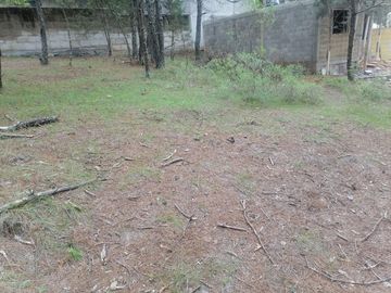 BONITO LOTE EN VENTA IDEAL PARA TU CASA DE CAMPO , UBICADO EN CAMPO ALEGRE, MUNICIPIO DE SAN JOAQUÍN, QUERÉTARO