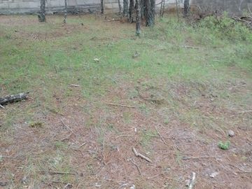 BONITO LOTE EN VENTA IDEAL PARA TU CASA DE CAMPO , UBICADO EN CAMPO ALEGRE, MUNICIPIO DE SAN JOAQUÍN, QUERÉTARO