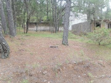 BONITO LOTE EN VENTA IDEAL PARA TU CASA DE CAMPO , UBICADO EN CAMPO ALEGRE, MUNICIPIO DE SAN JOAQUÍN, QUERÉTARO