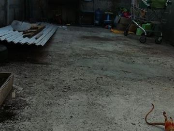 Casa en Venta en Colbún
