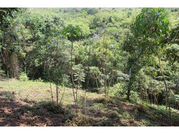 Vendo casa campestre en el carmen, dagua