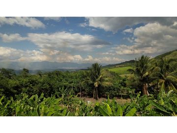 Casa de Campo en 7 Has. en Venta - Lamas - El Saucal