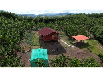 Casa de Campo en 7 Has. en Venta - Lamas - El Saucal