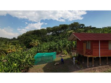 Casa de Campo en 7 Has. en Venta - Lamas - El Saucal