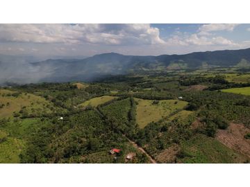 Casa de Campo en 7 Has. en Venta - Lamas - El Saucal