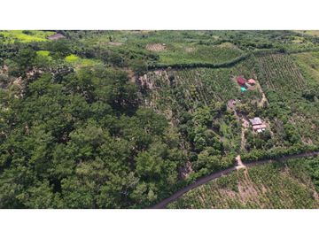 Casa de Campo en 7 Has. en Venta - Lamas - El Saucal