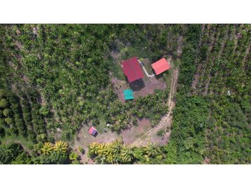 Casa de Campo en 7 Has. en Venta - Lamas - El Saucal