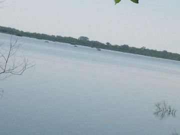 Terreno en Venta en González, Tamaulipas.
