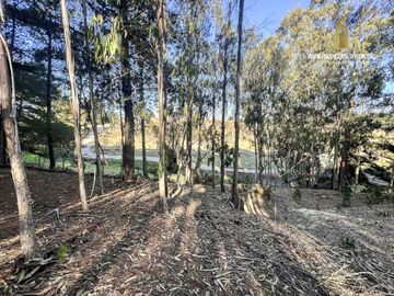 TERRENO URBANO 9480 M2 VENTA PUNTA DE LOBOS GRAN VISTA