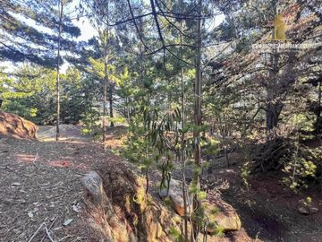 TERRENO URBANO 9480 M2 VENTA PUNTA DE LOBOS GRAN VISTA