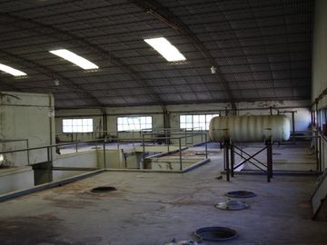 Bodega - Mendoza