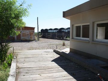 Bodega - Mendoza