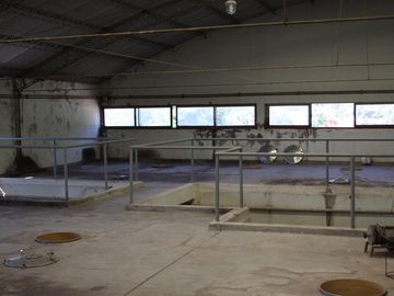 Bodega - Mendoza