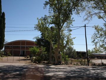 Bodega - Mendoza