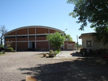 Bodega - Mendoza