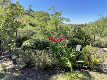Venta casa en country Costa Verde