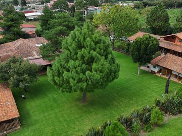 Casa, turistica, Mazamitla