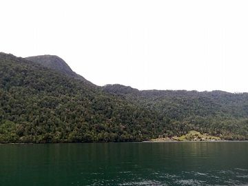 FIORDO QUEULAT 100HA