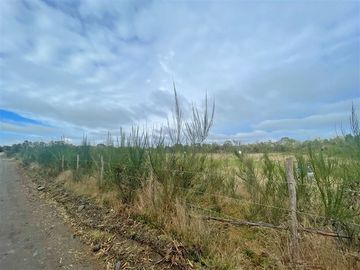 Parcela en Venta en Parcelas Punta Elvira, a 15 min de Chacao