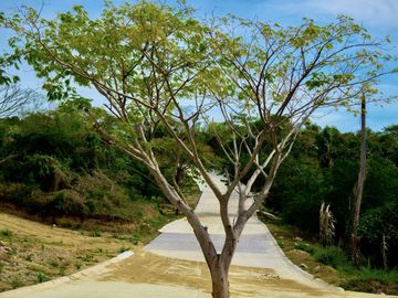 Venta de Departamentos y Lotes Residenciales en Punta de Mita