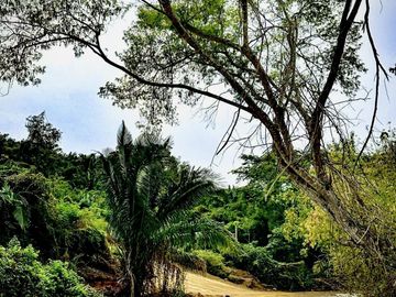 Venta de Departamentos y Lotes Residenciales en Punta de Mita