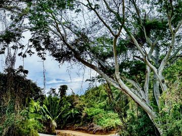 Venta de Departamentos y Lotes Residenciales en Punta de Mita