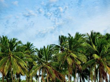 Venta de Departamentos y Lotes Residenciales en Punta de Mita