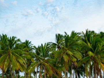 Venta de Departamentos y Lotes residenciales en Punta Mita