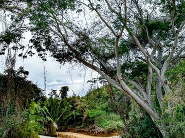 Venta de Departamentos y Lotes residenciales en Punta Mita