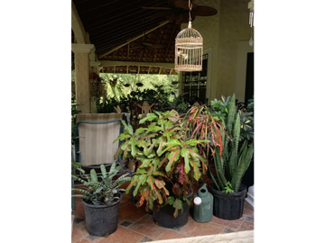 CHITRE / CASA DE CAMPO / 4300 M2 / CON CASA DE HUESPED