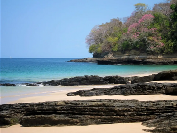 ARCHIPELAGO DE LAS PERLAS / ISLA SABOGA / FRENTE AL MAR / 2000 M2