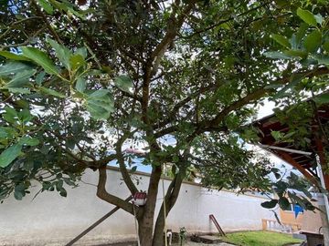 VENTA TERRENO 653 MTS2 SECTOR CUMBAYA