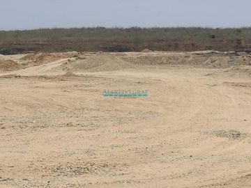 Terrenos Agricolas Venta CAL. Parcela  - SULLANA