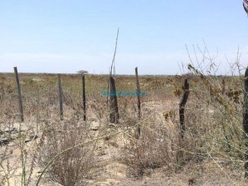 Terrenos Agricolas Venta CAL. Parcela  - SULLANA