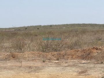 Terrenos Agricolas Venta CAL. Parcela  - SULLANA