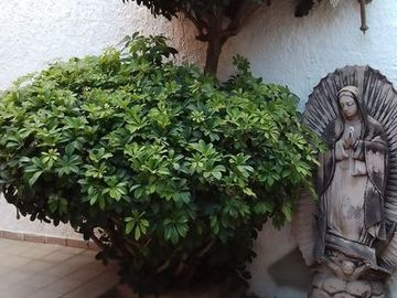 Casa en venta, Seattle, Zapopan